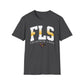 Fountain Lake FLS