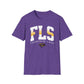 Fountain Lake FLS